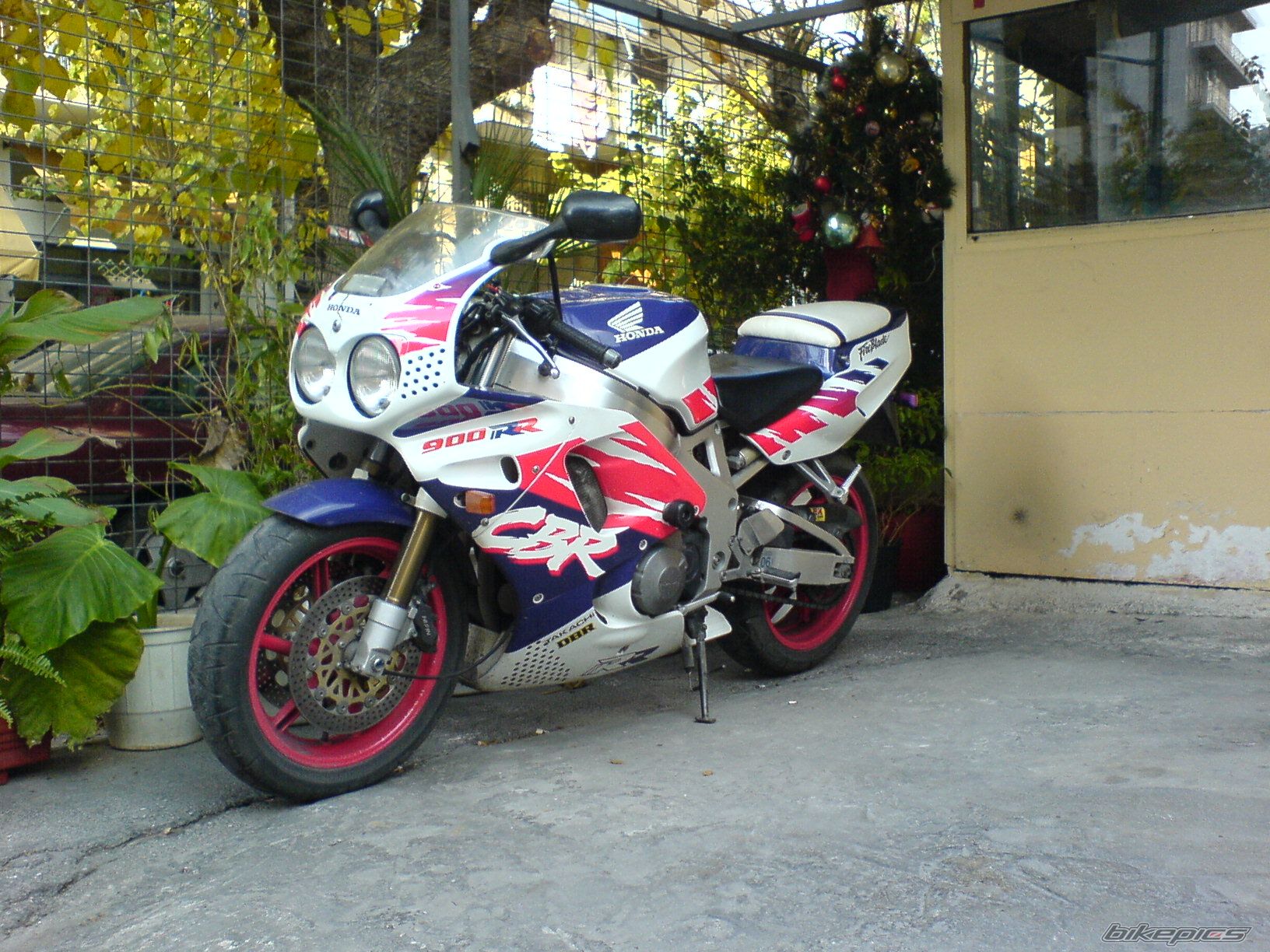 Photo 1137994