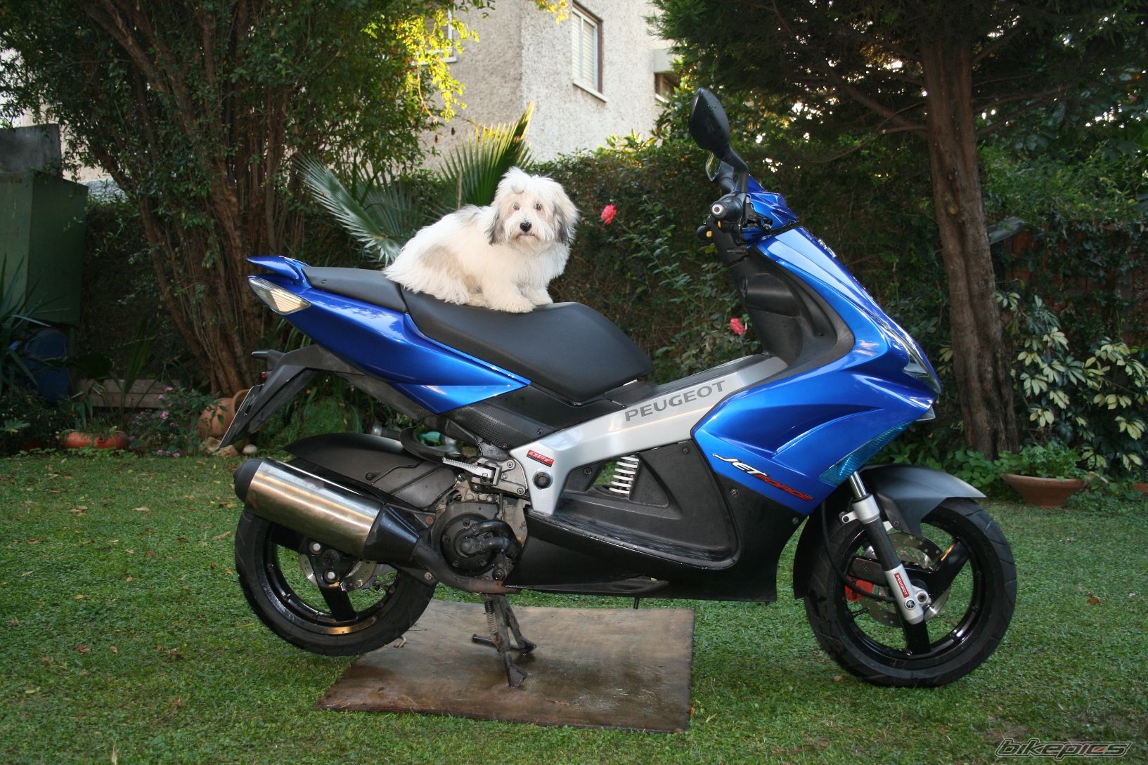 Bike Photo 1138040