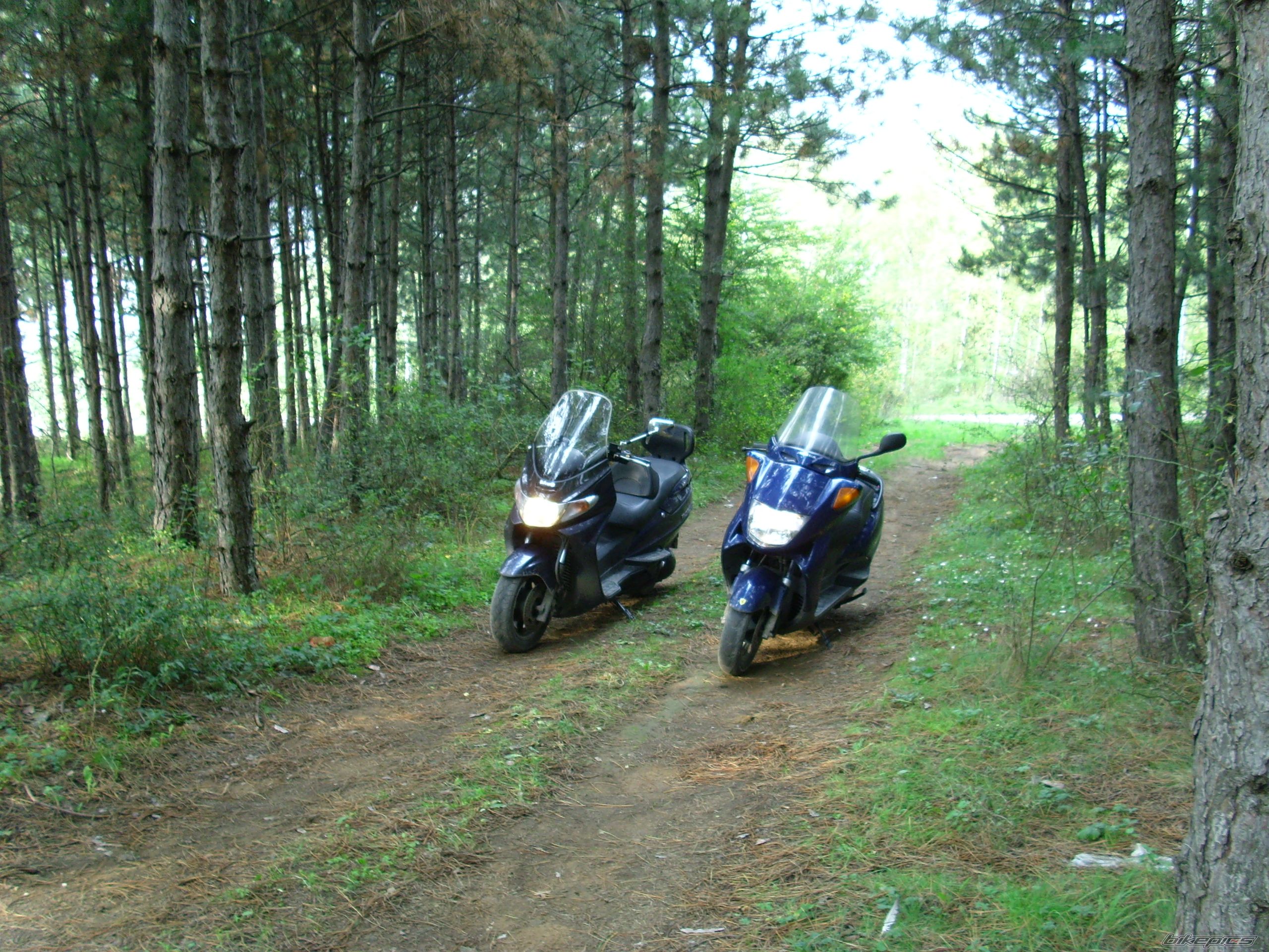 Bike Photo 1138115