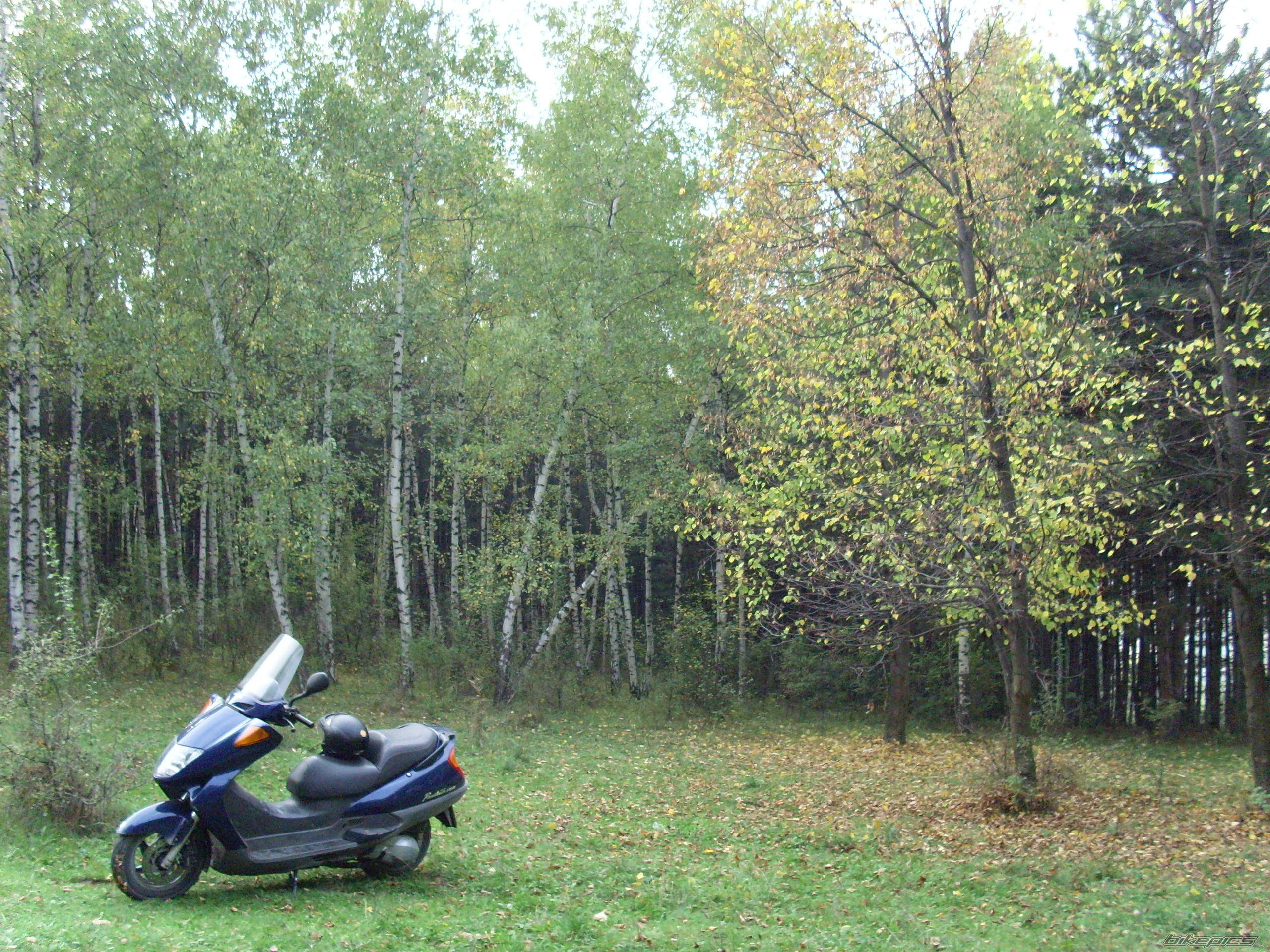 Bike Photo 1138117