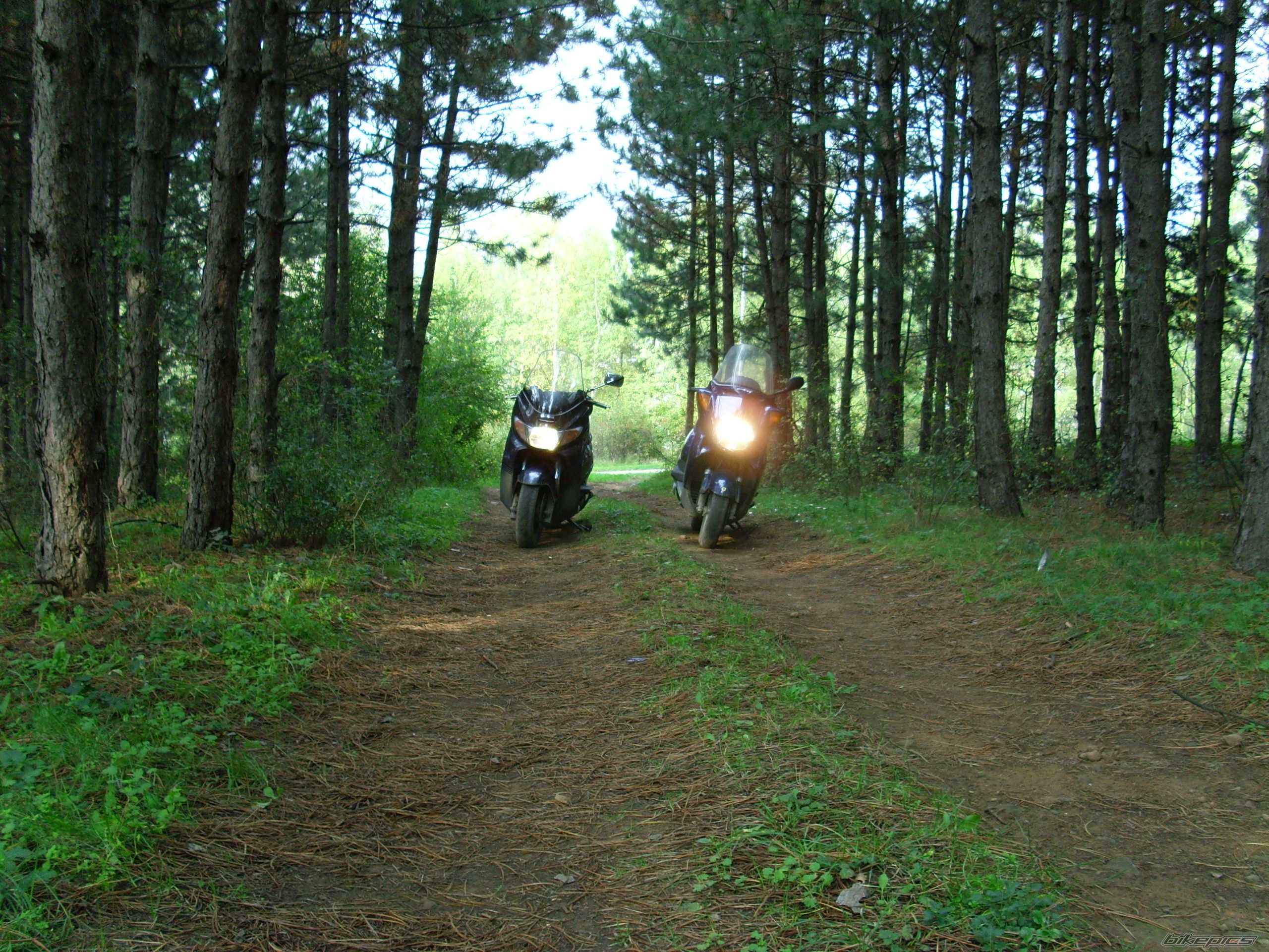 Bike Photo 1138119