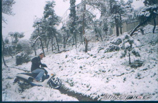 Bike Photo 113813