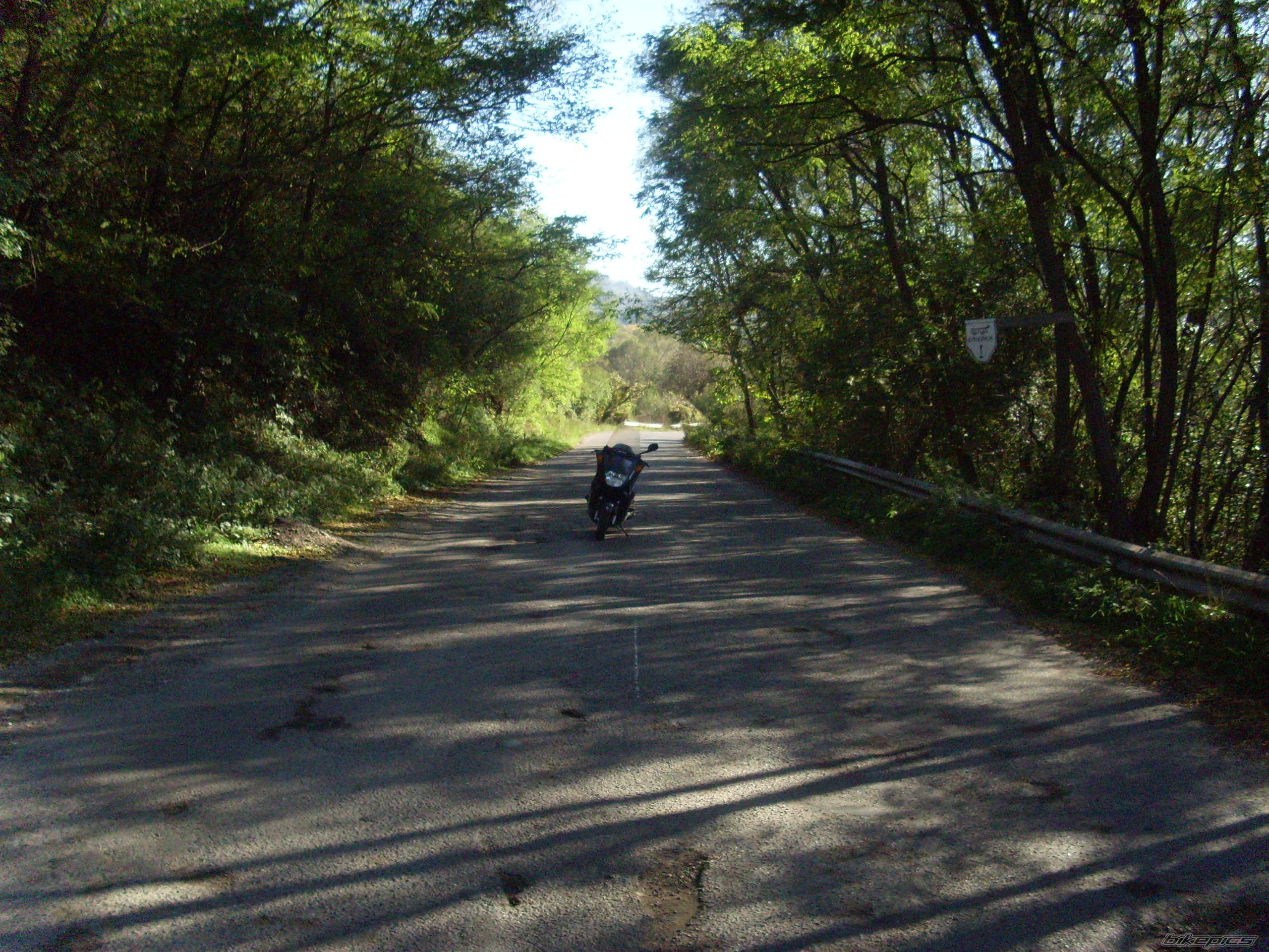 Bike Photo 1138138