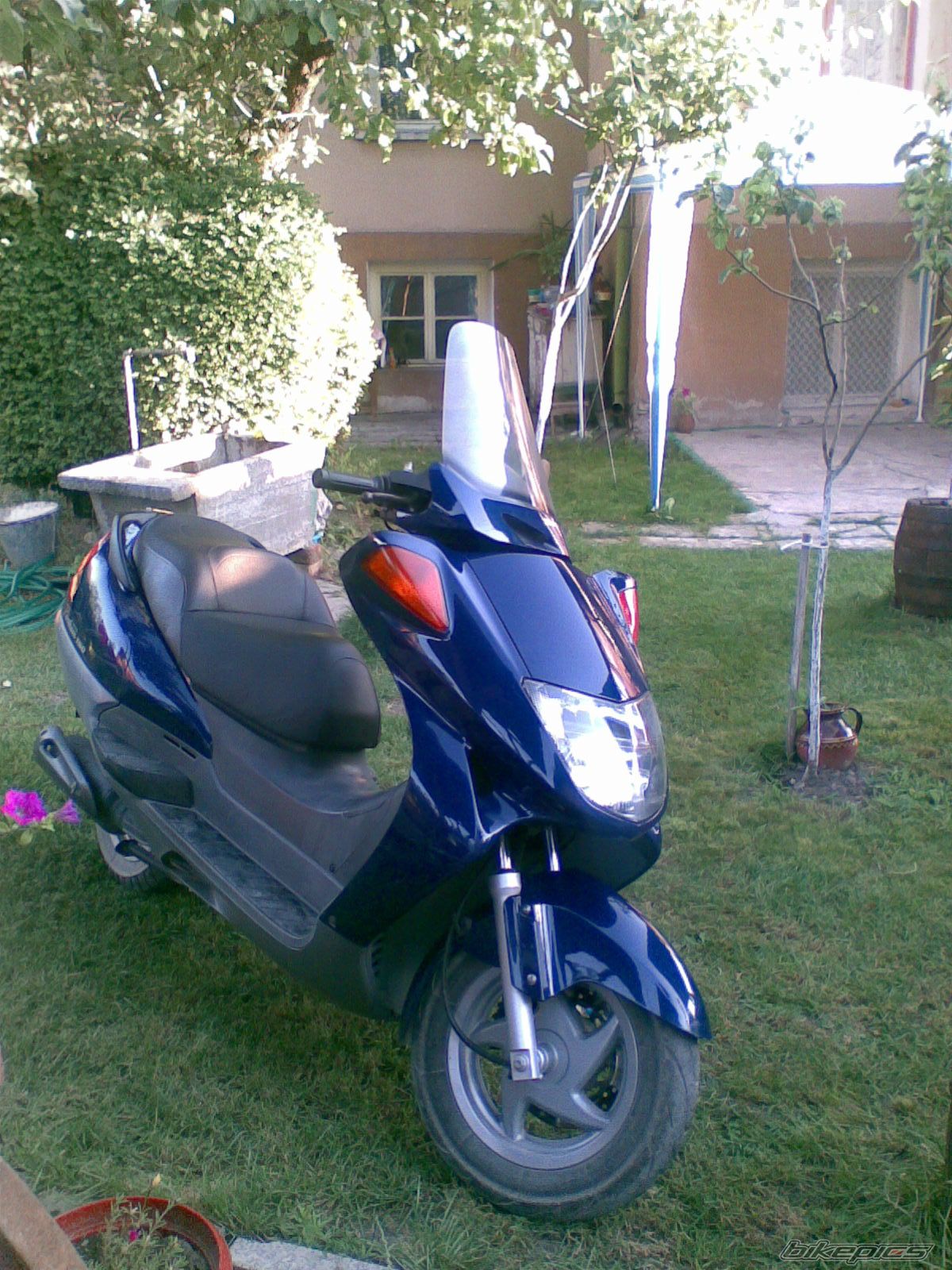 Bike Photo 1138159