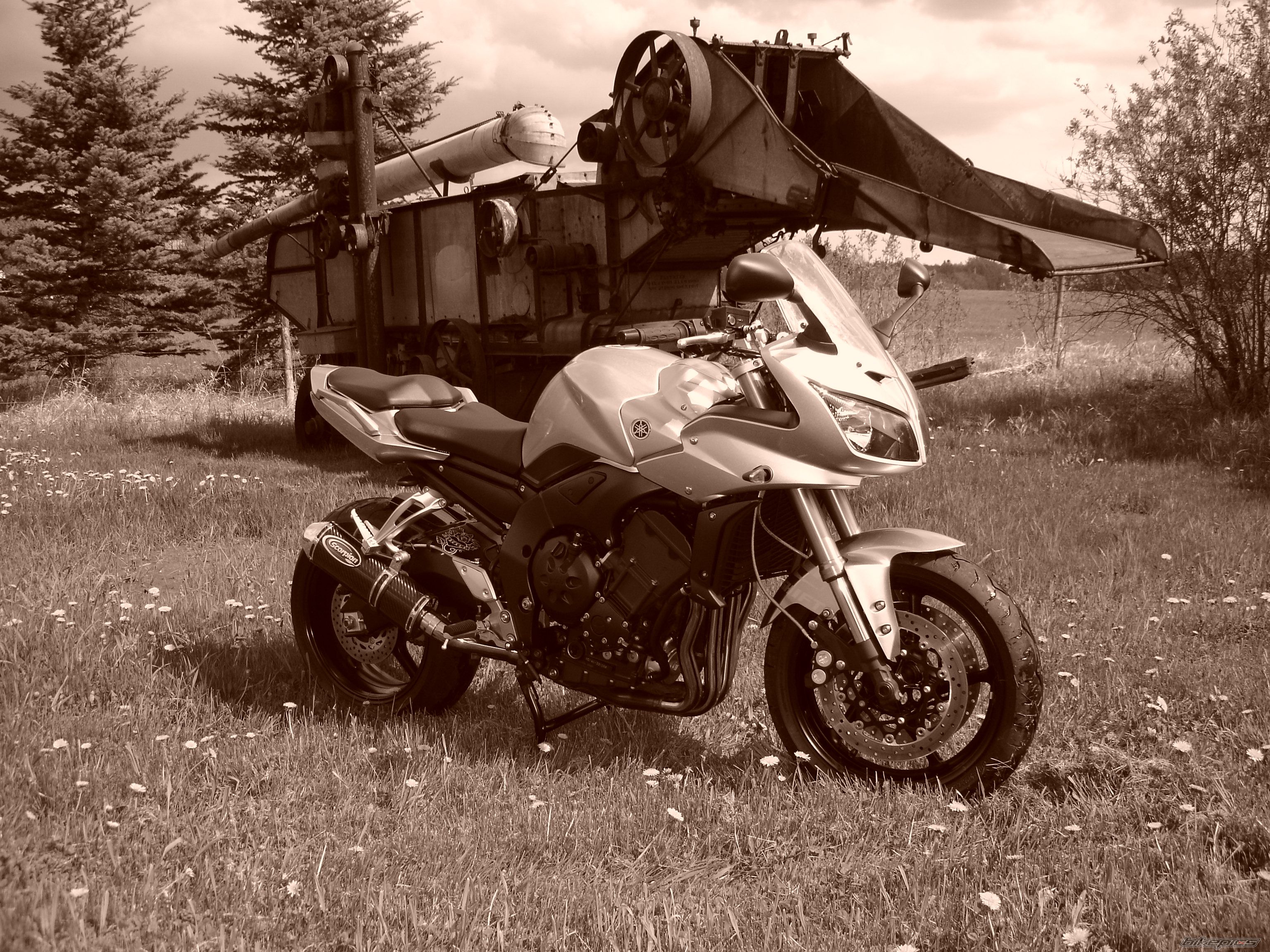 Photo 1138212