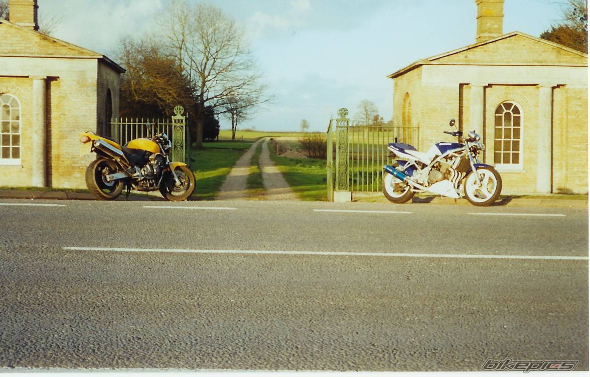 Photo 113845