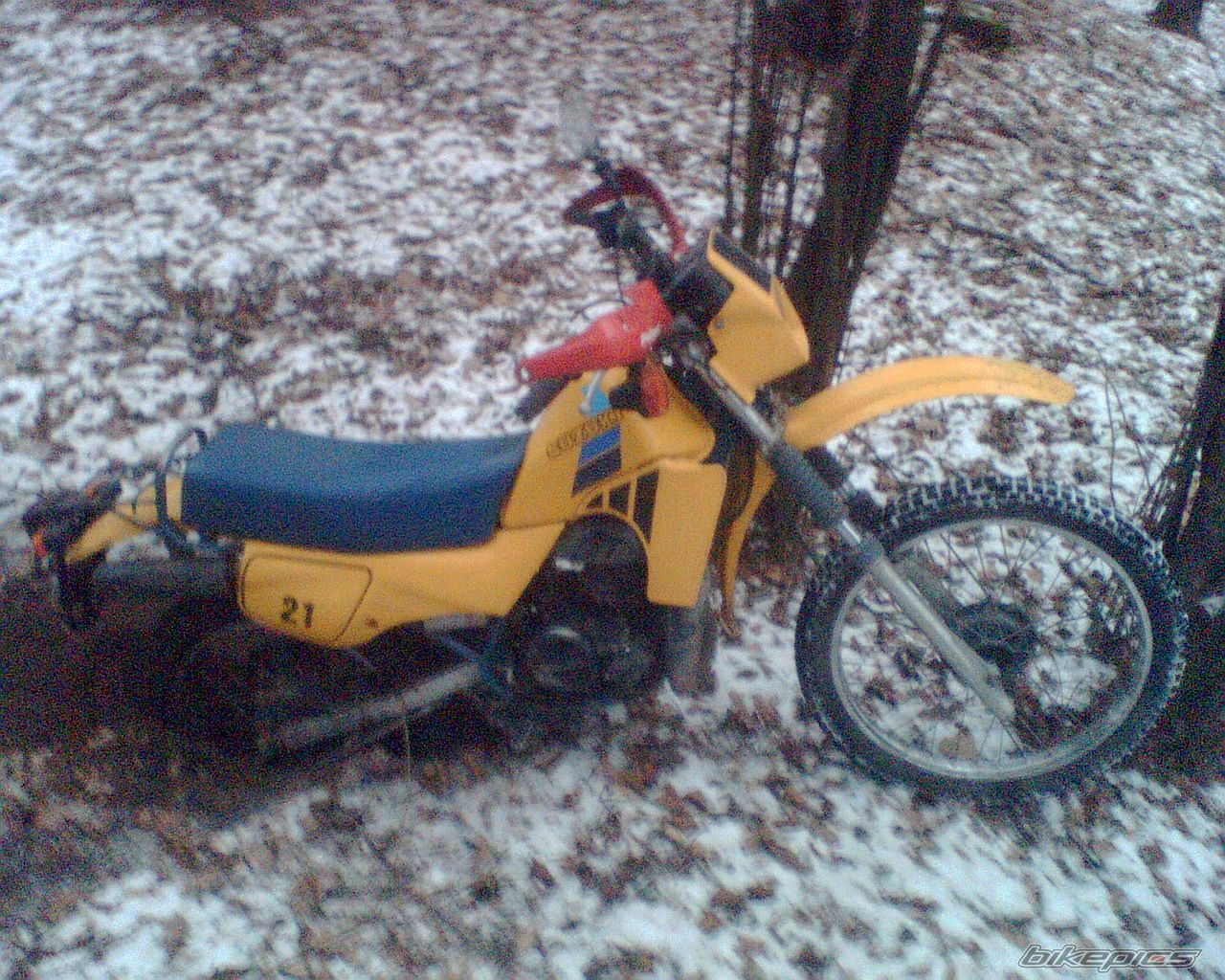 Photo 1138734