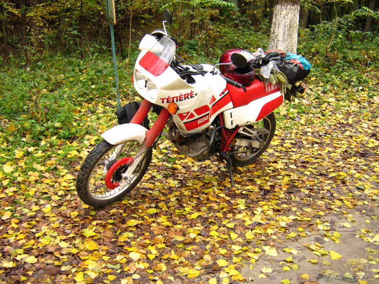 Photo 1138816