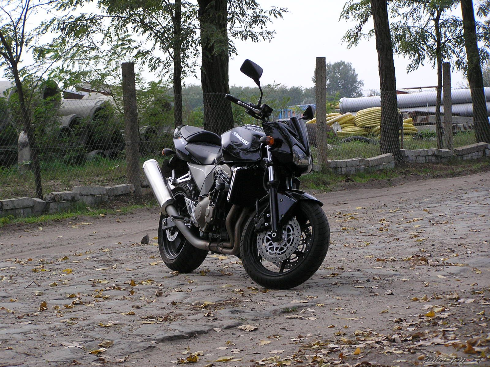 Photo 1138935