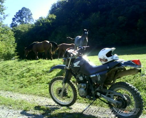 Photo 1138940