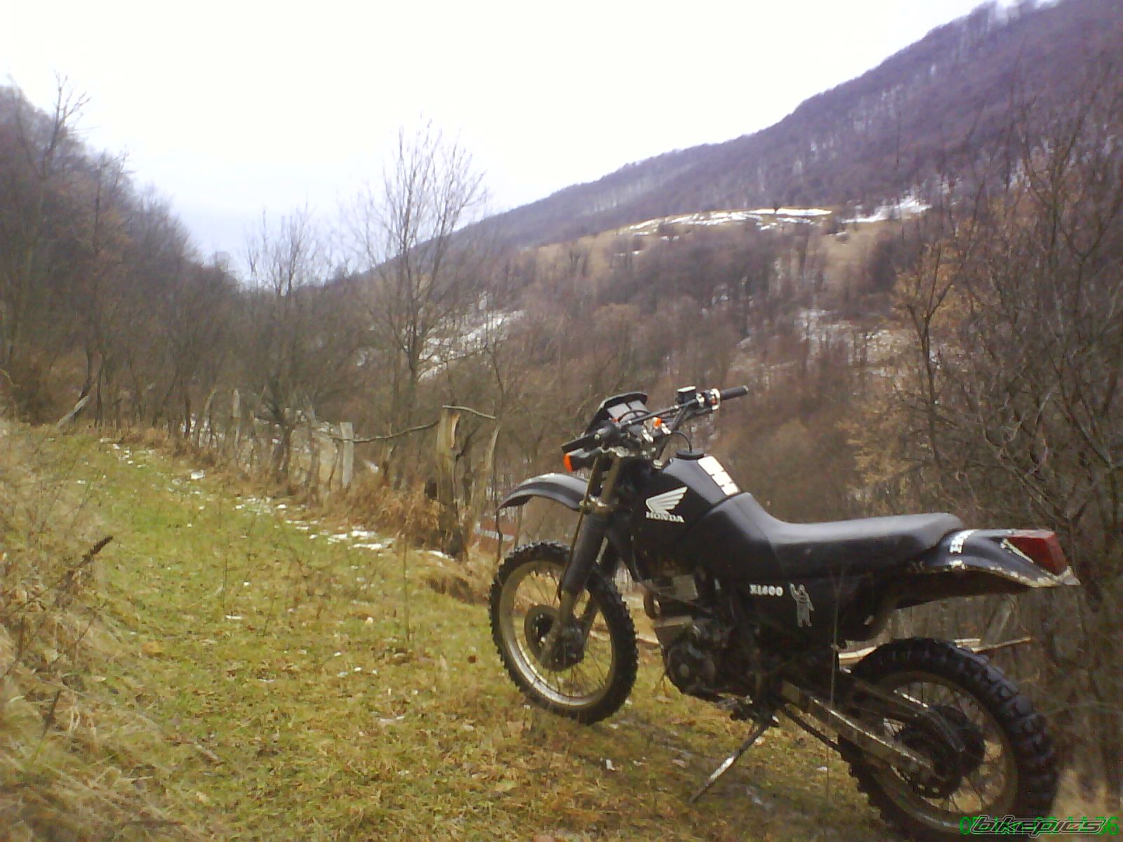 Photo 1138947