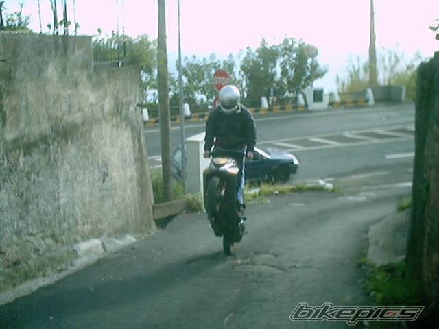 Photo 113920