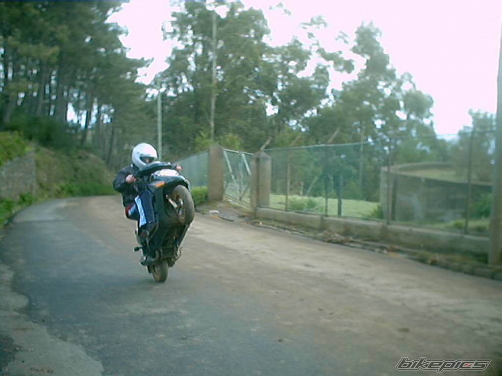 Photo 113922