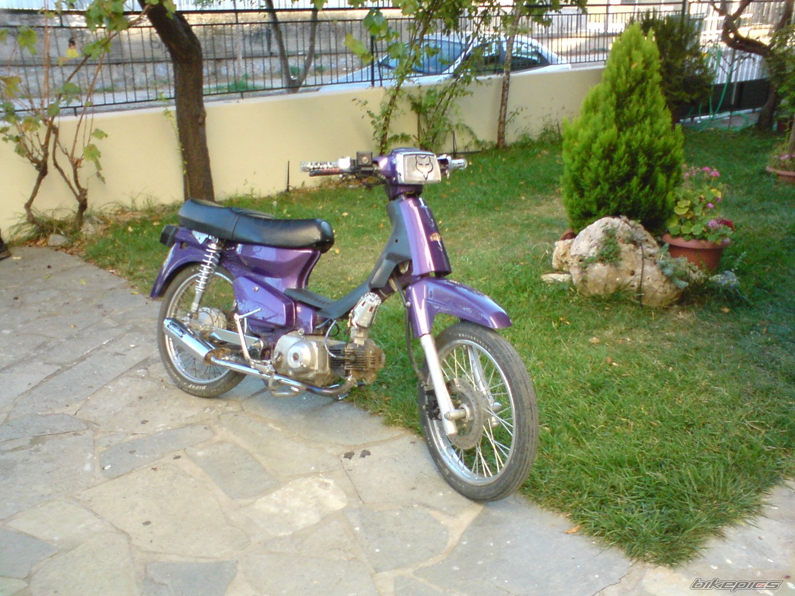 Photo 1139231