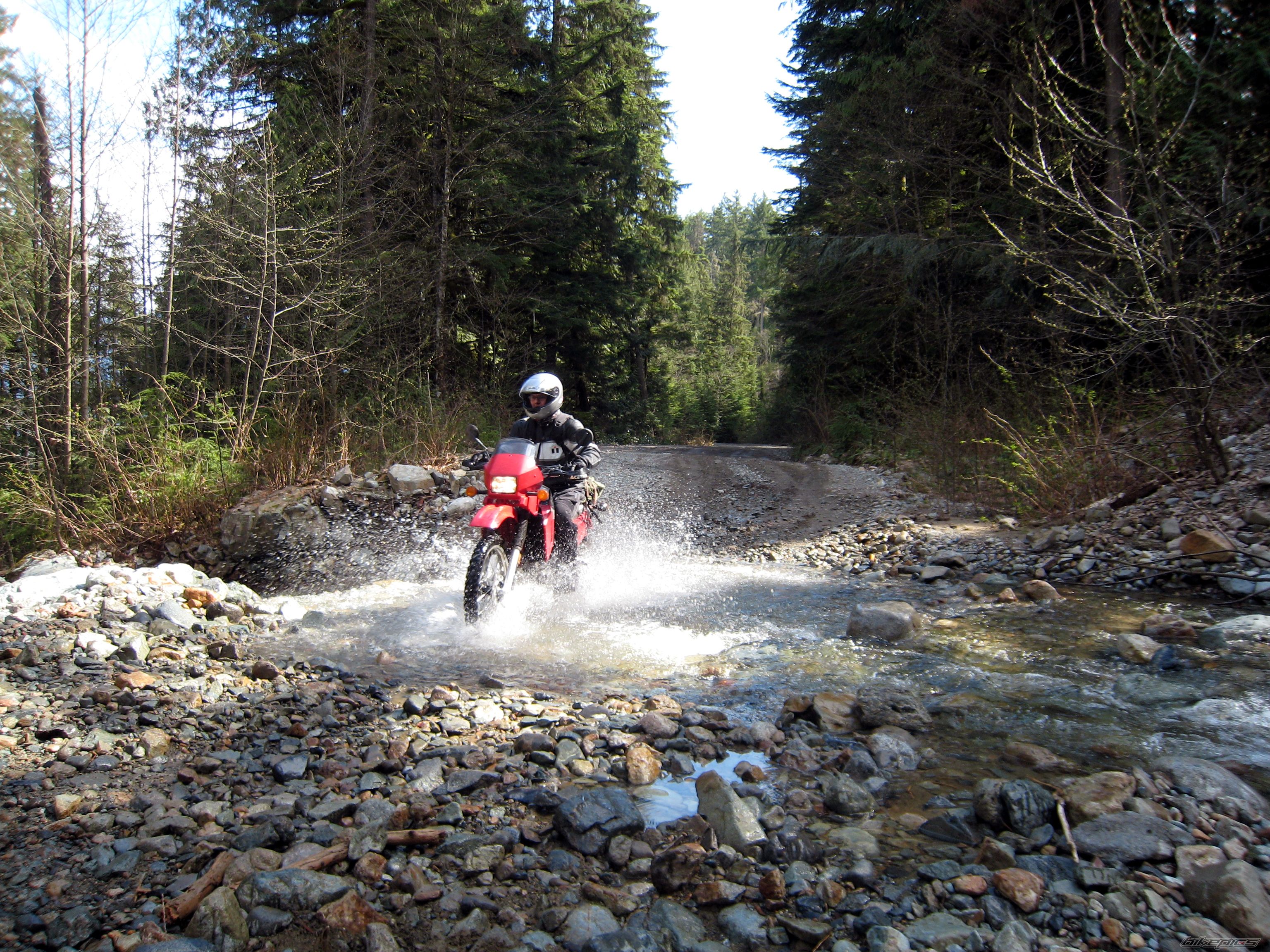 Bike Photo 1139291