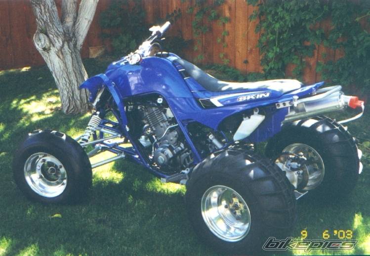 Photo 113942