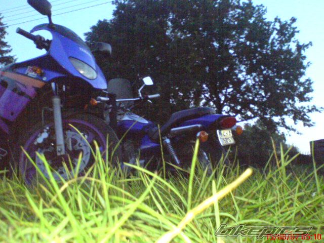 Photo 1139539