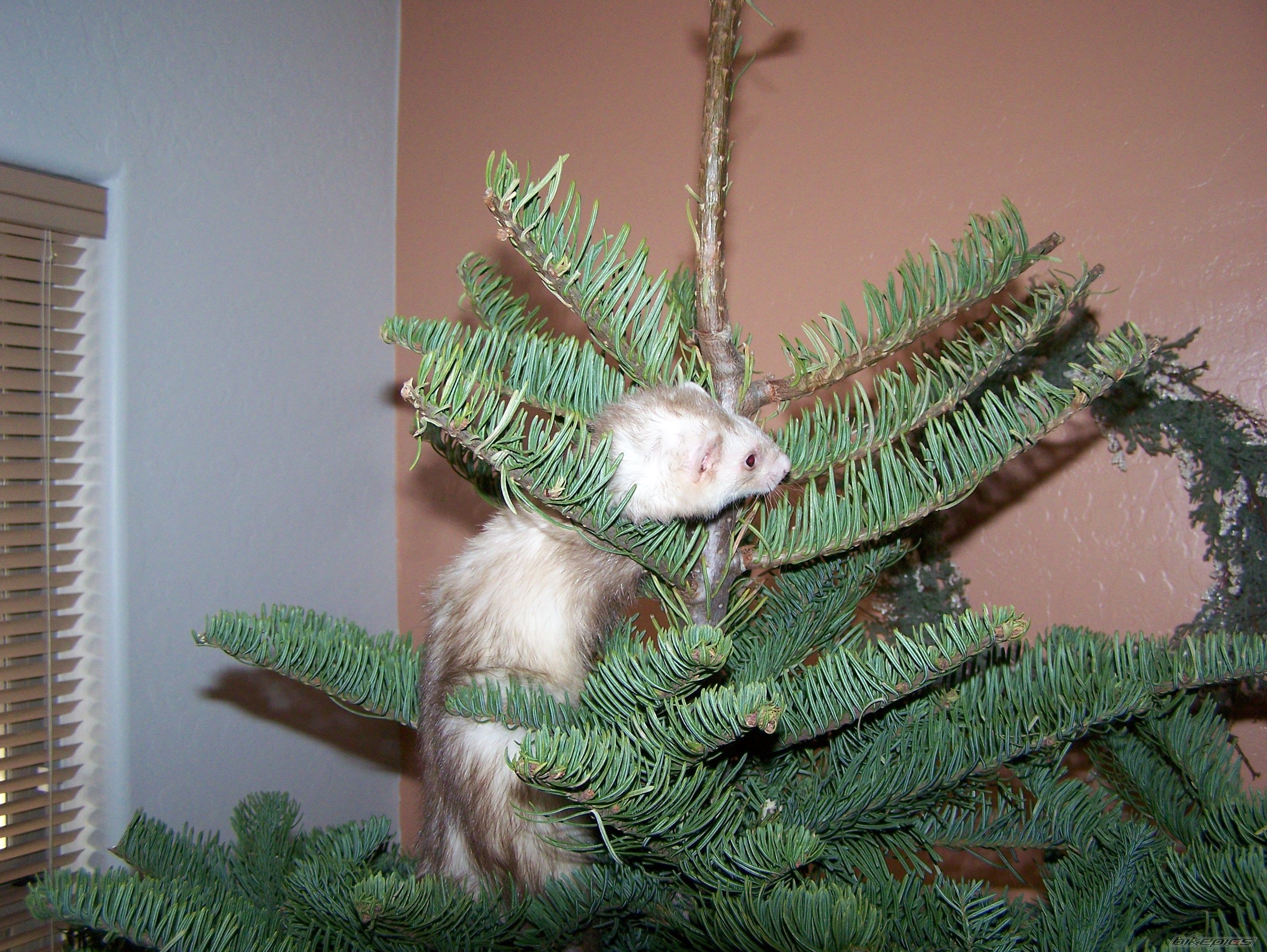 Photo 1139569