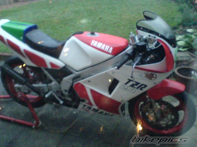 Photo 1139592