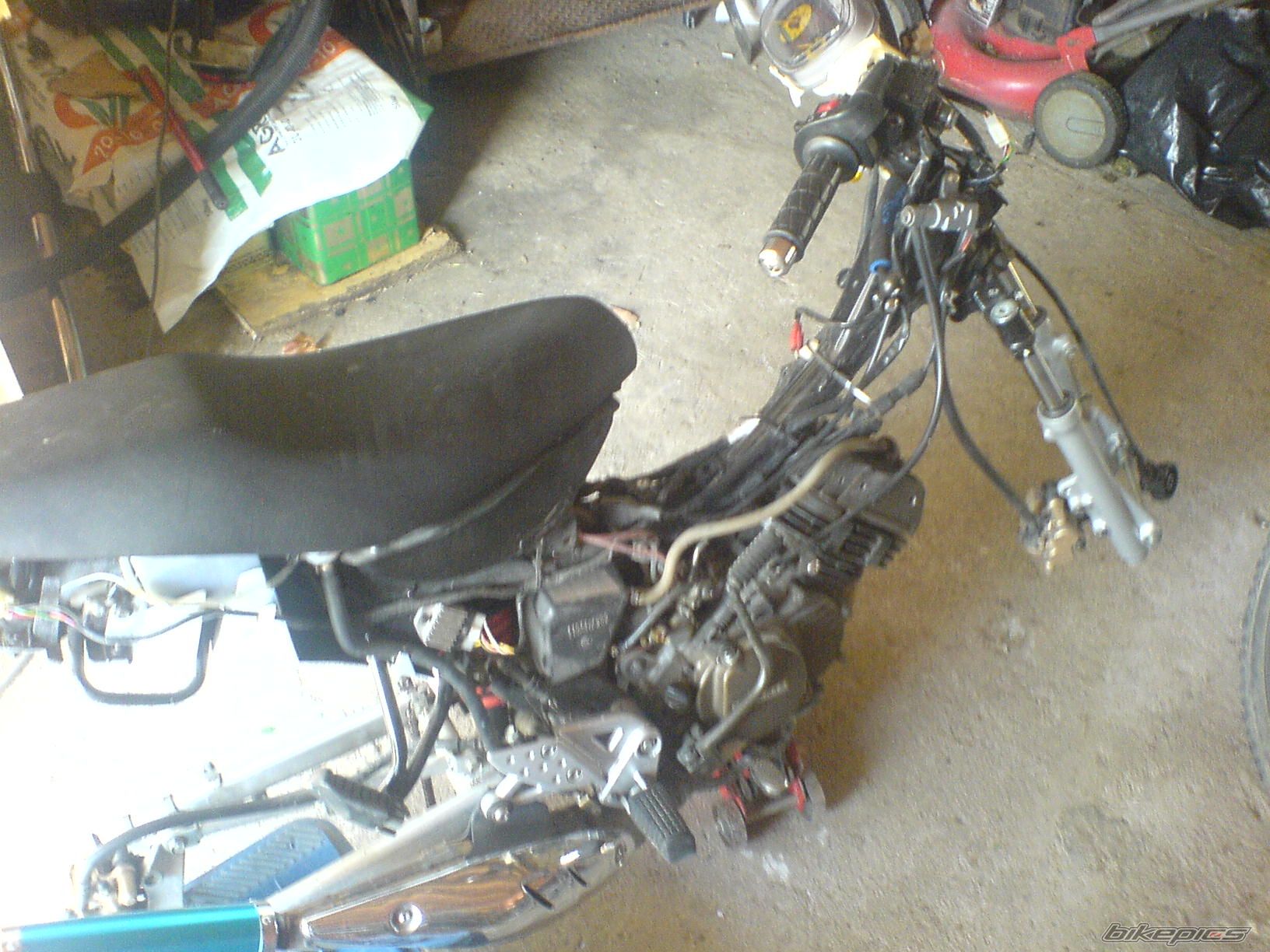 Photo 1139601