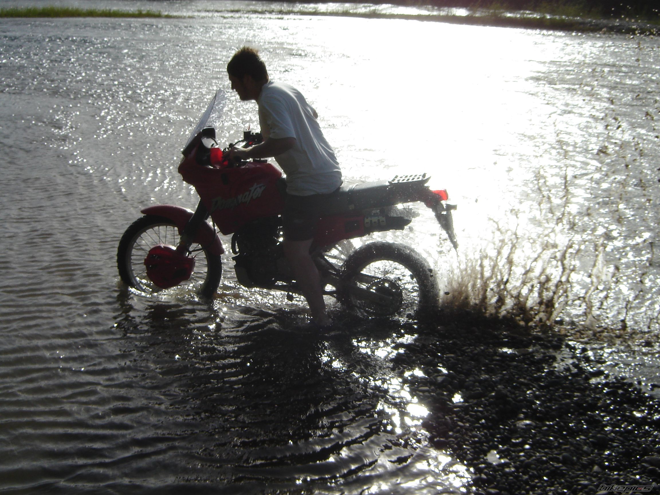 Photo 1139719