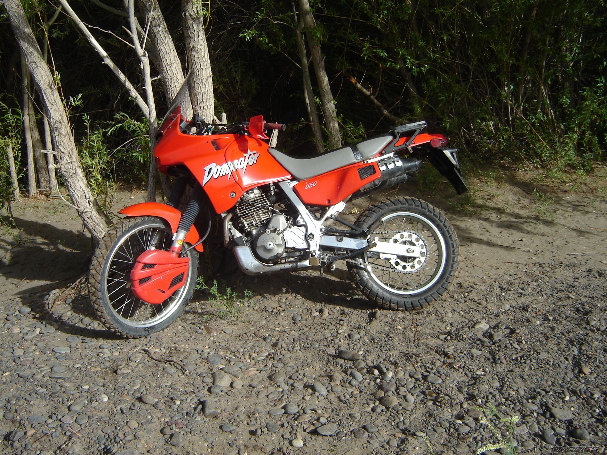 Photo 1139731