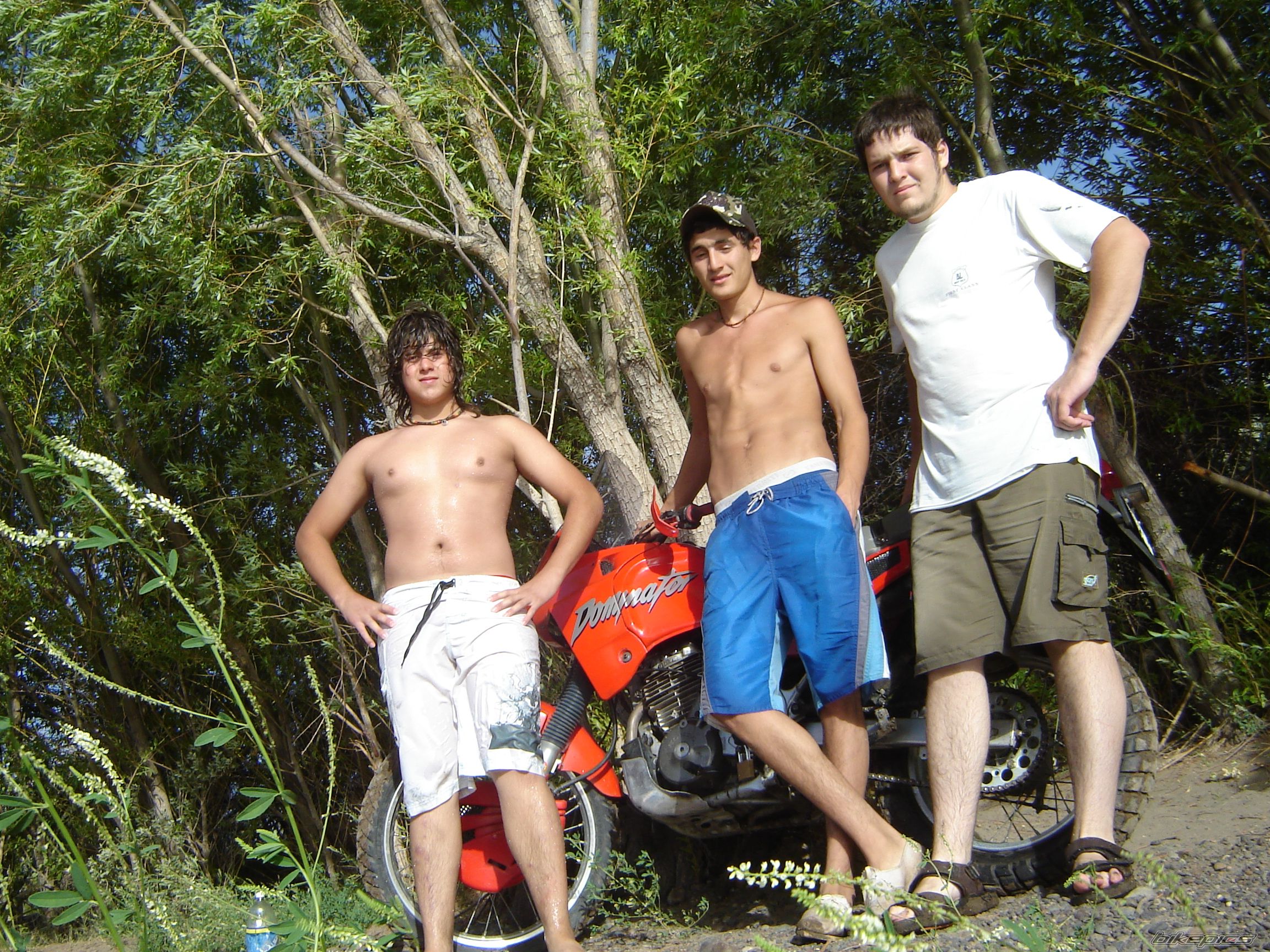 Photo 1139799