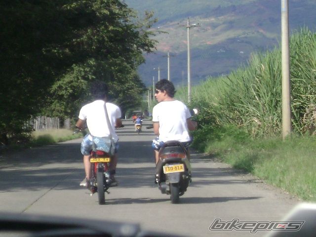 Photo 1139852