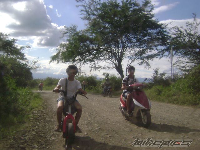 Photo 1139853