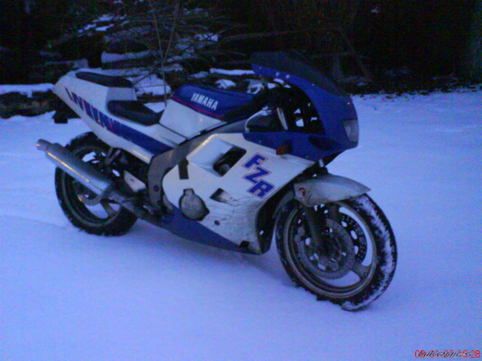Photo 1139856