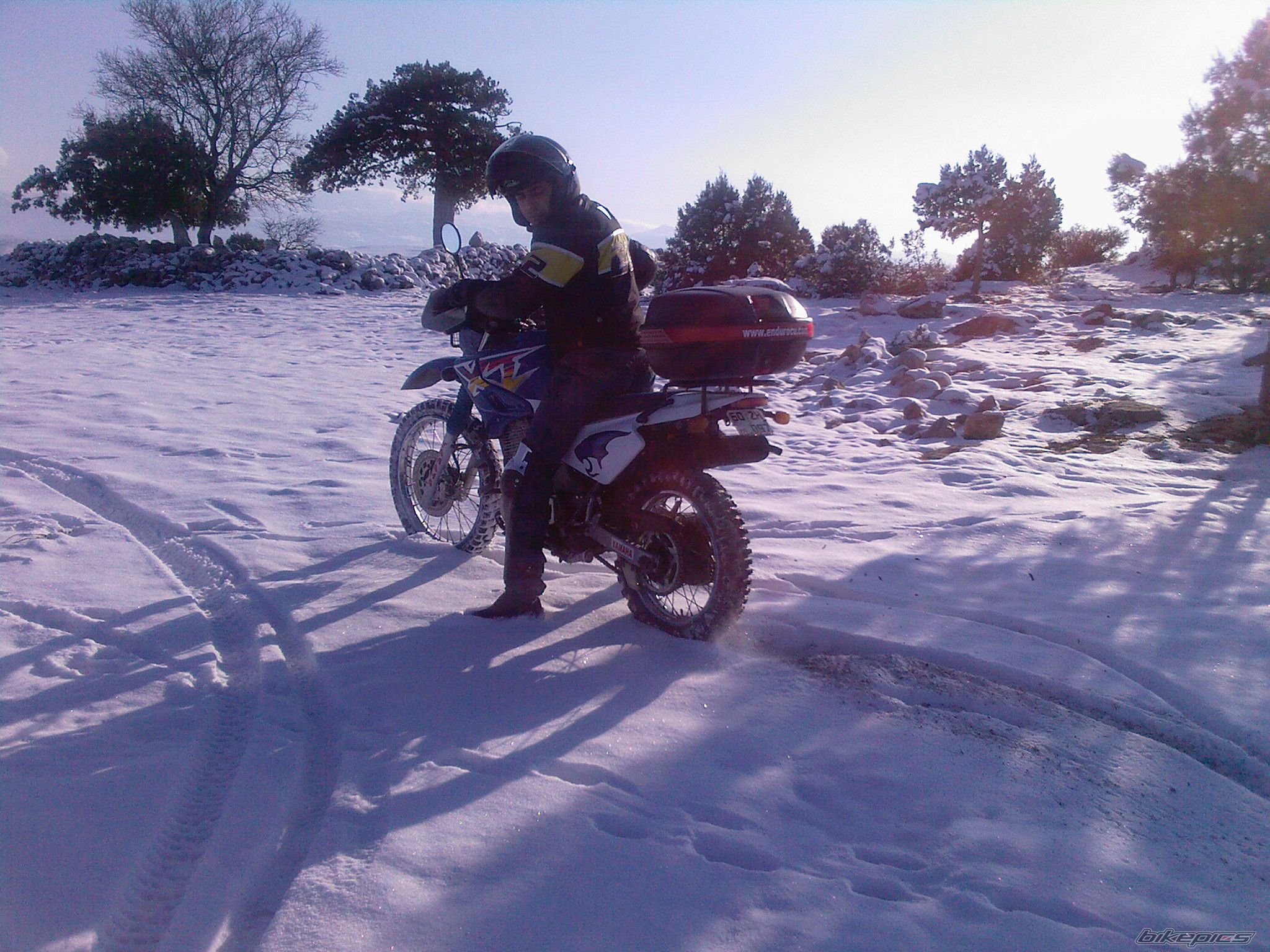 Photo 1139912