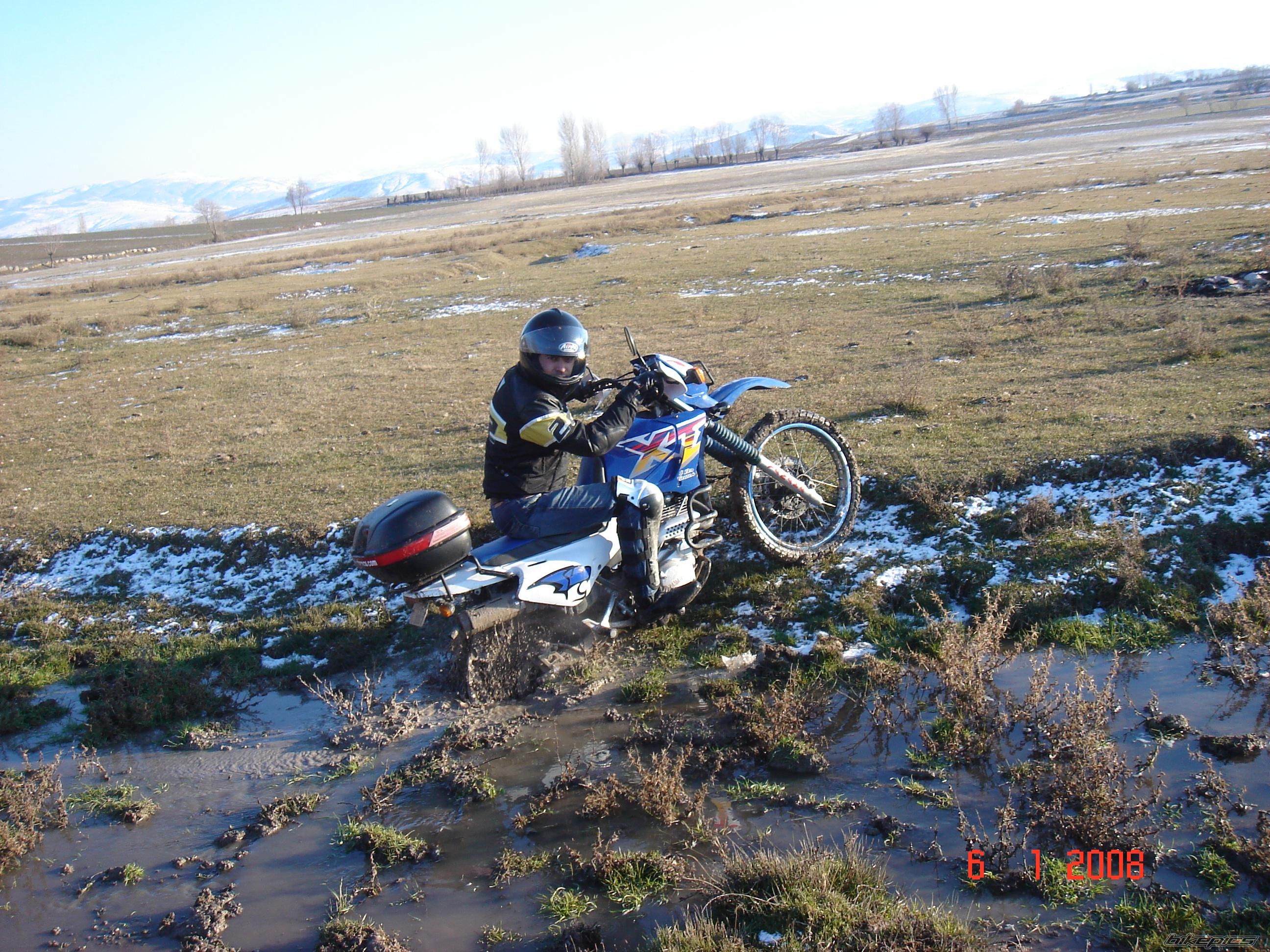 Photo 1139913