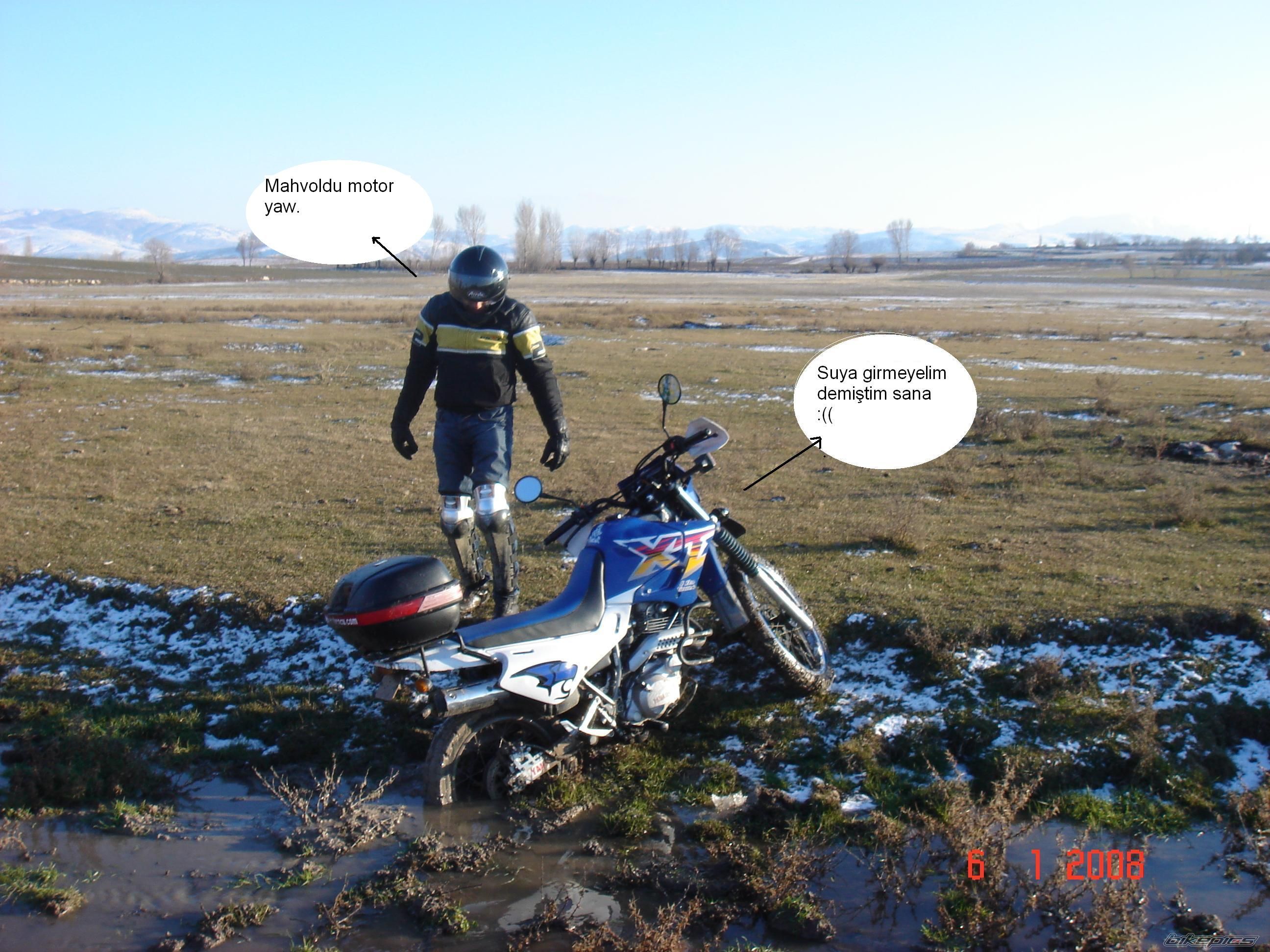 Photo 1139914