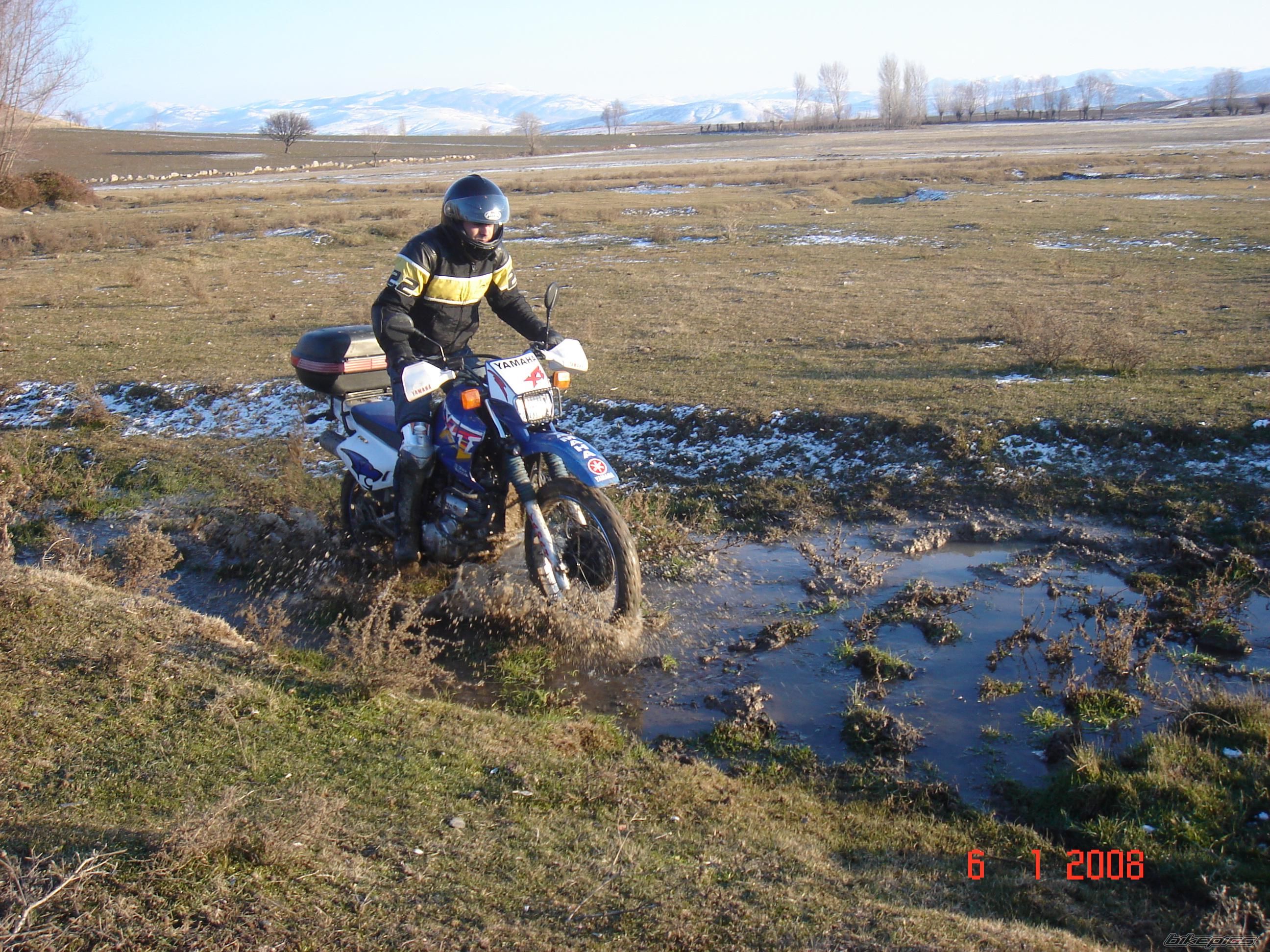 Photo 1139933