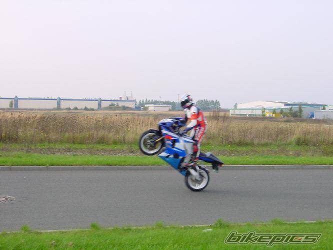 Photo 11401