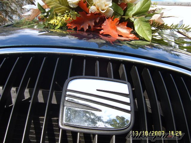 Photo 1140256