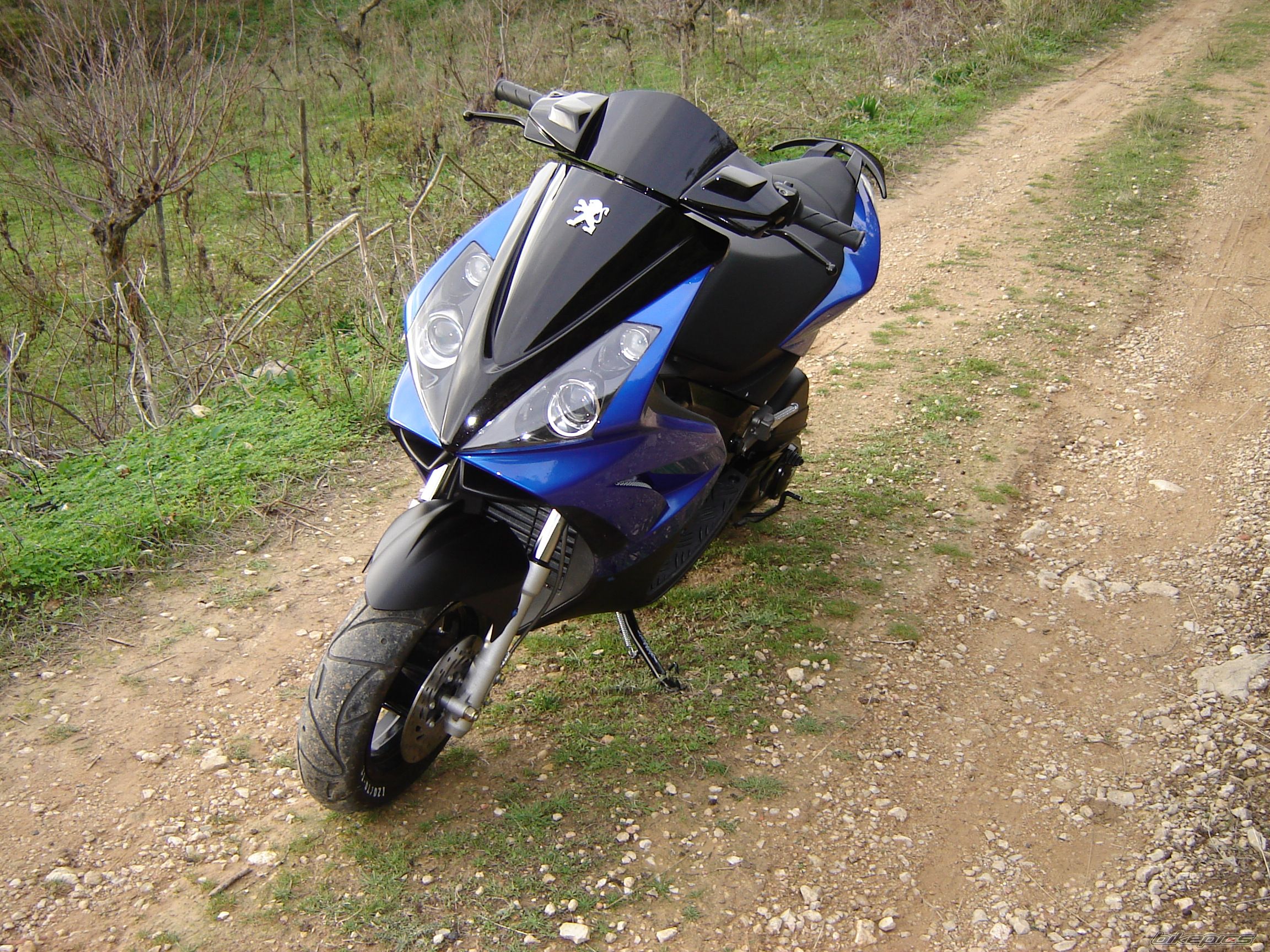 Photo 1140339