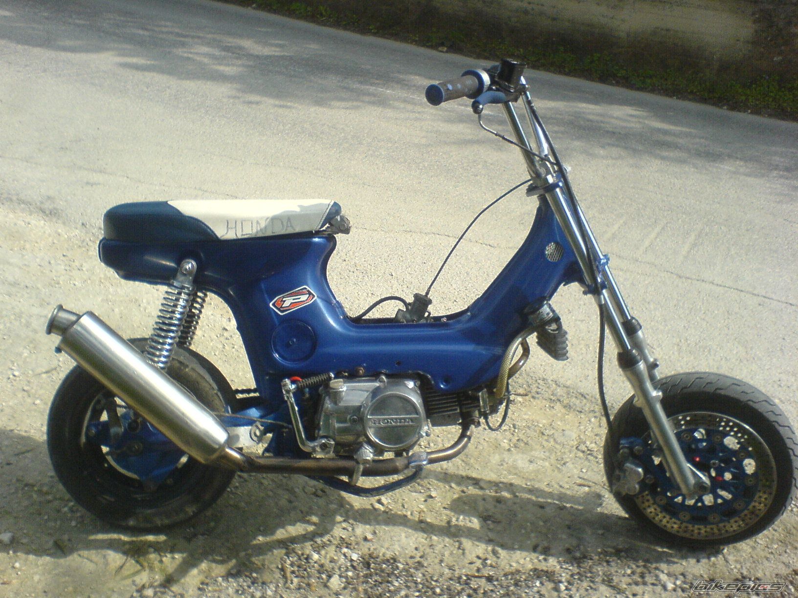 Photo 1140446