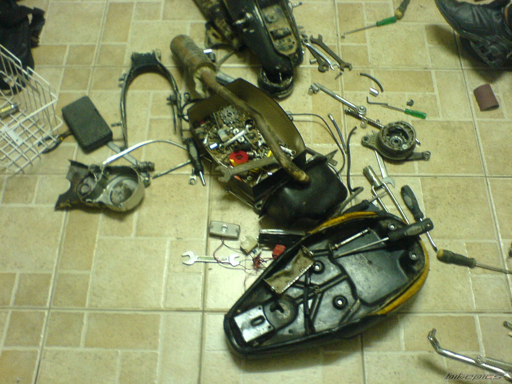 Photo 1140489