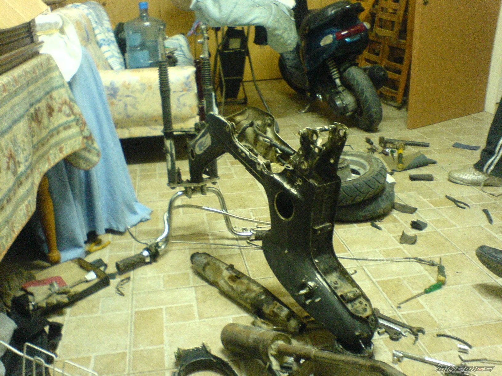Photo 1140493
