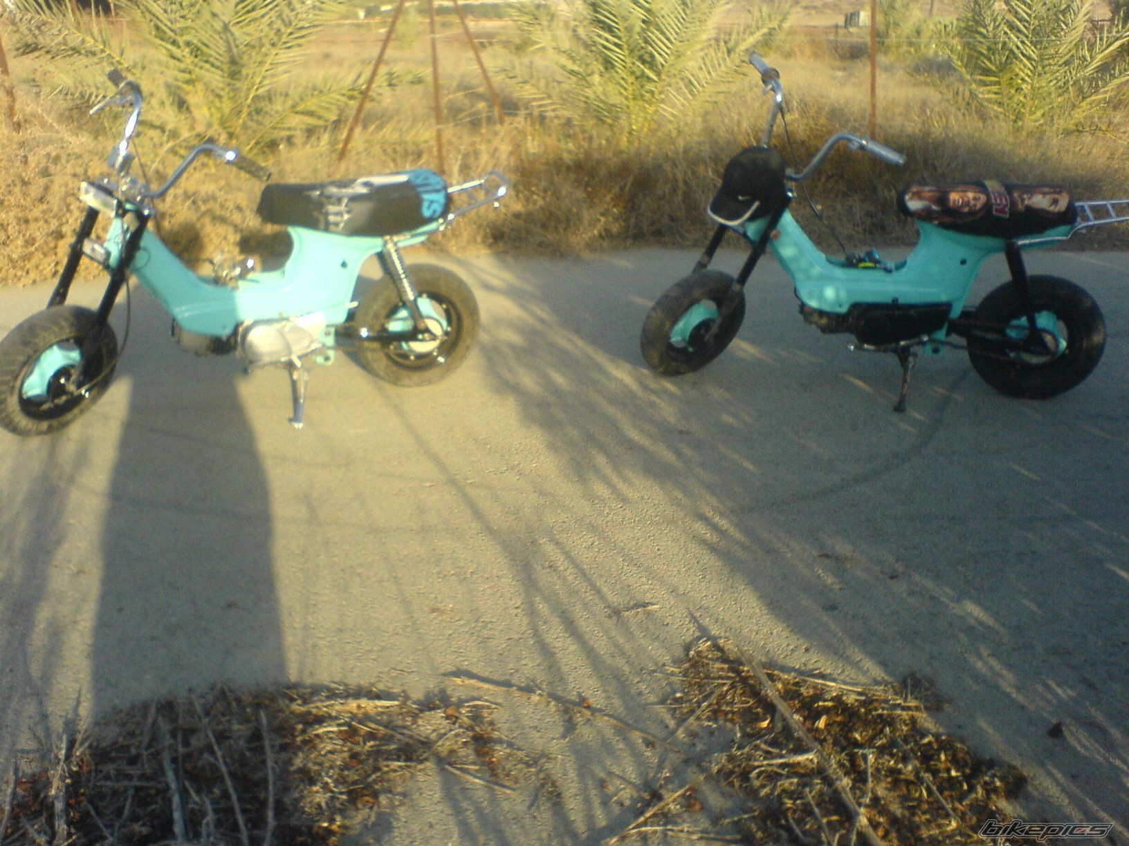 Photo 1140508