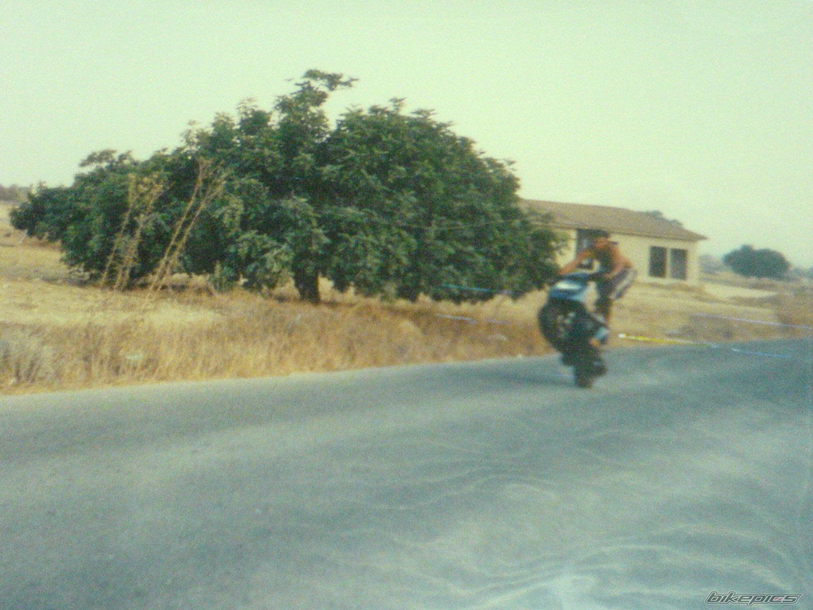 Photo 1140546