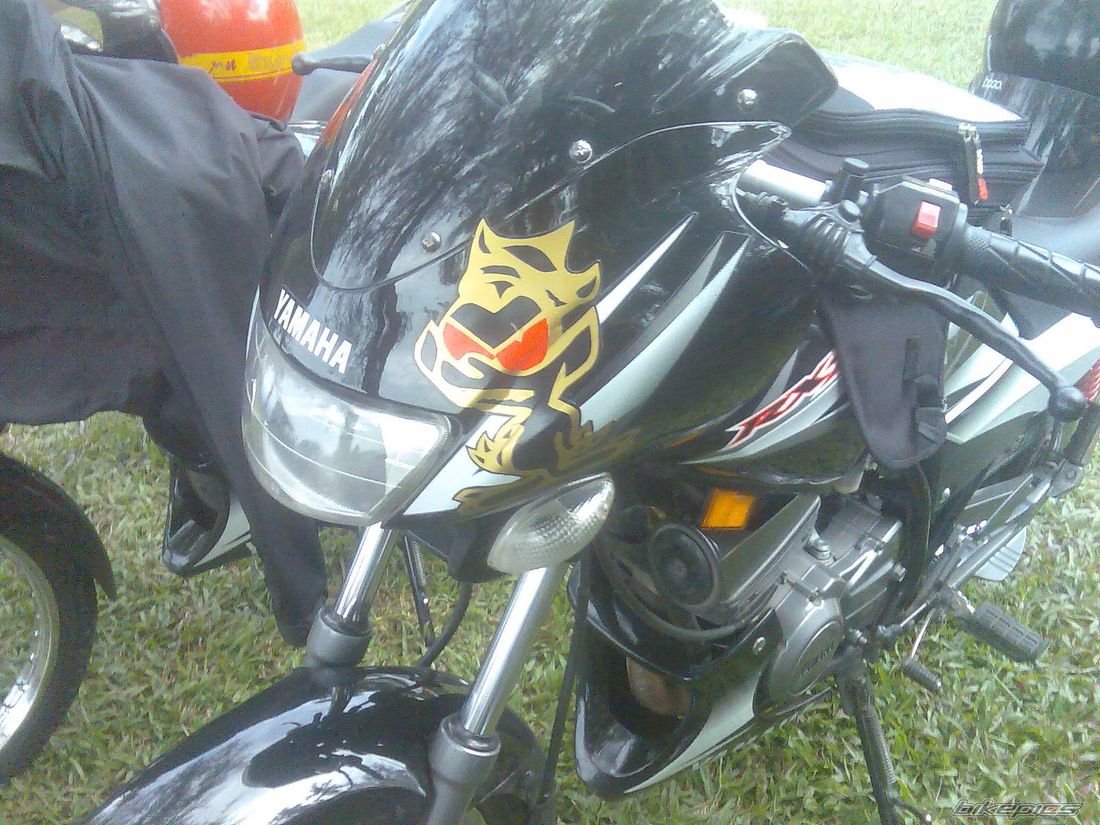 Photo 1140743