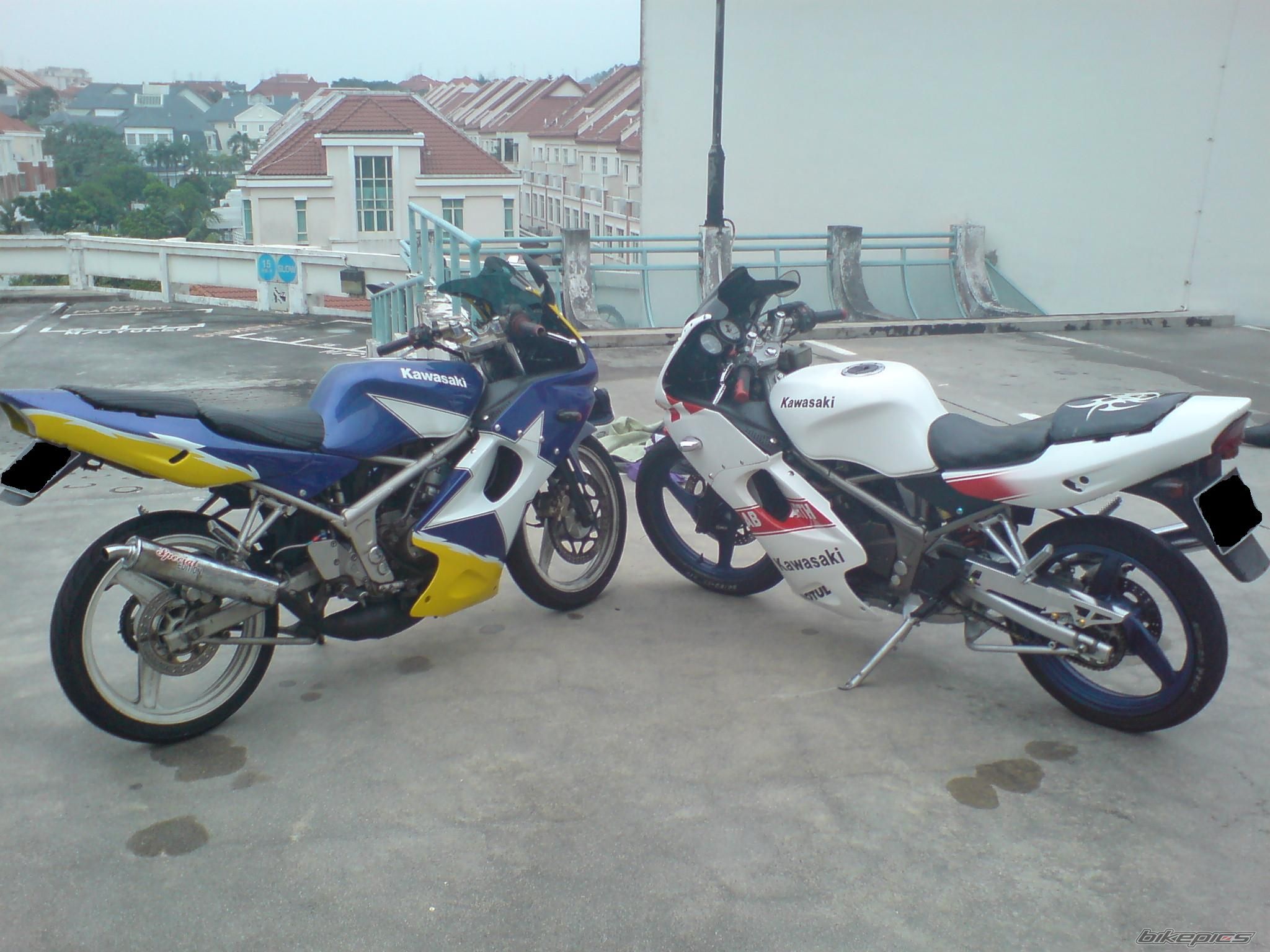 Photo 1140764