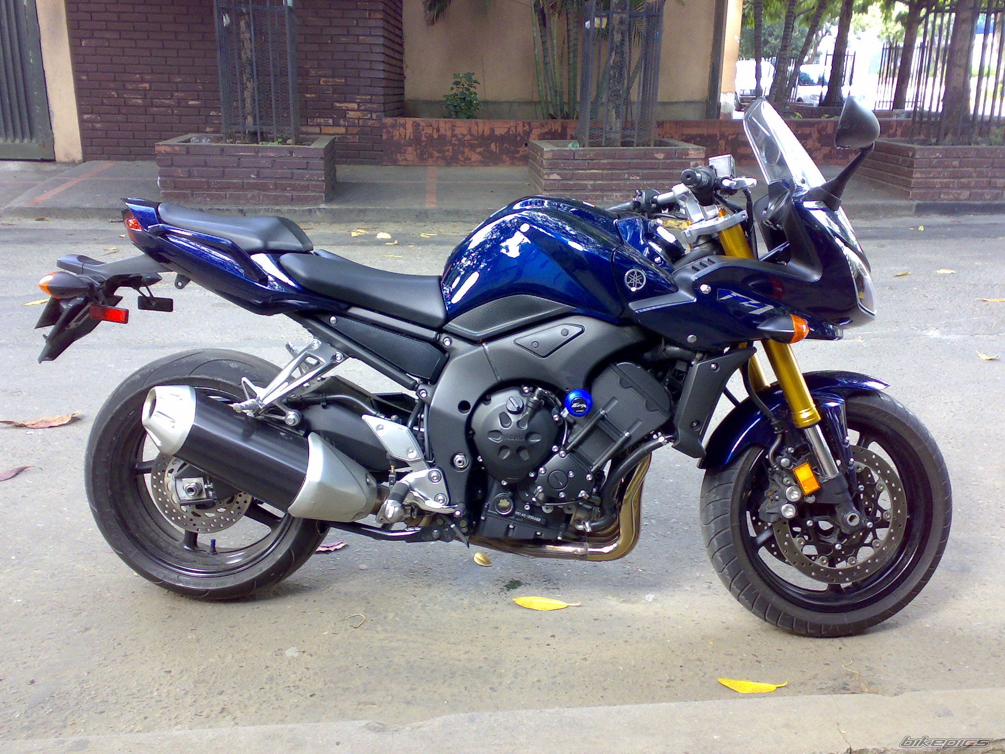 Photo 1140850