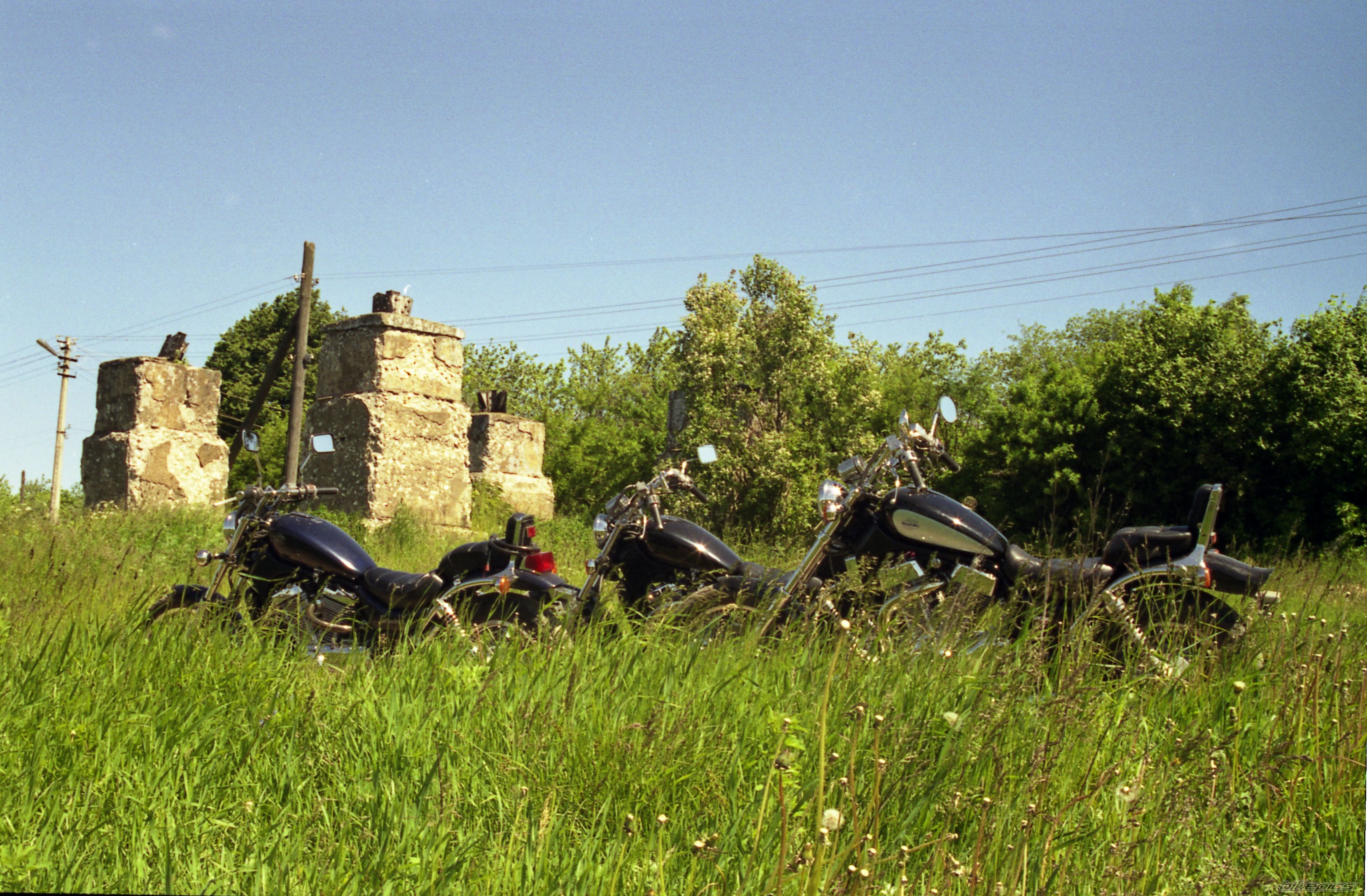 Photo 1140936