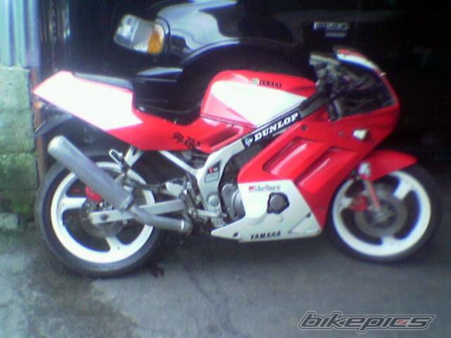 Photo 1140996