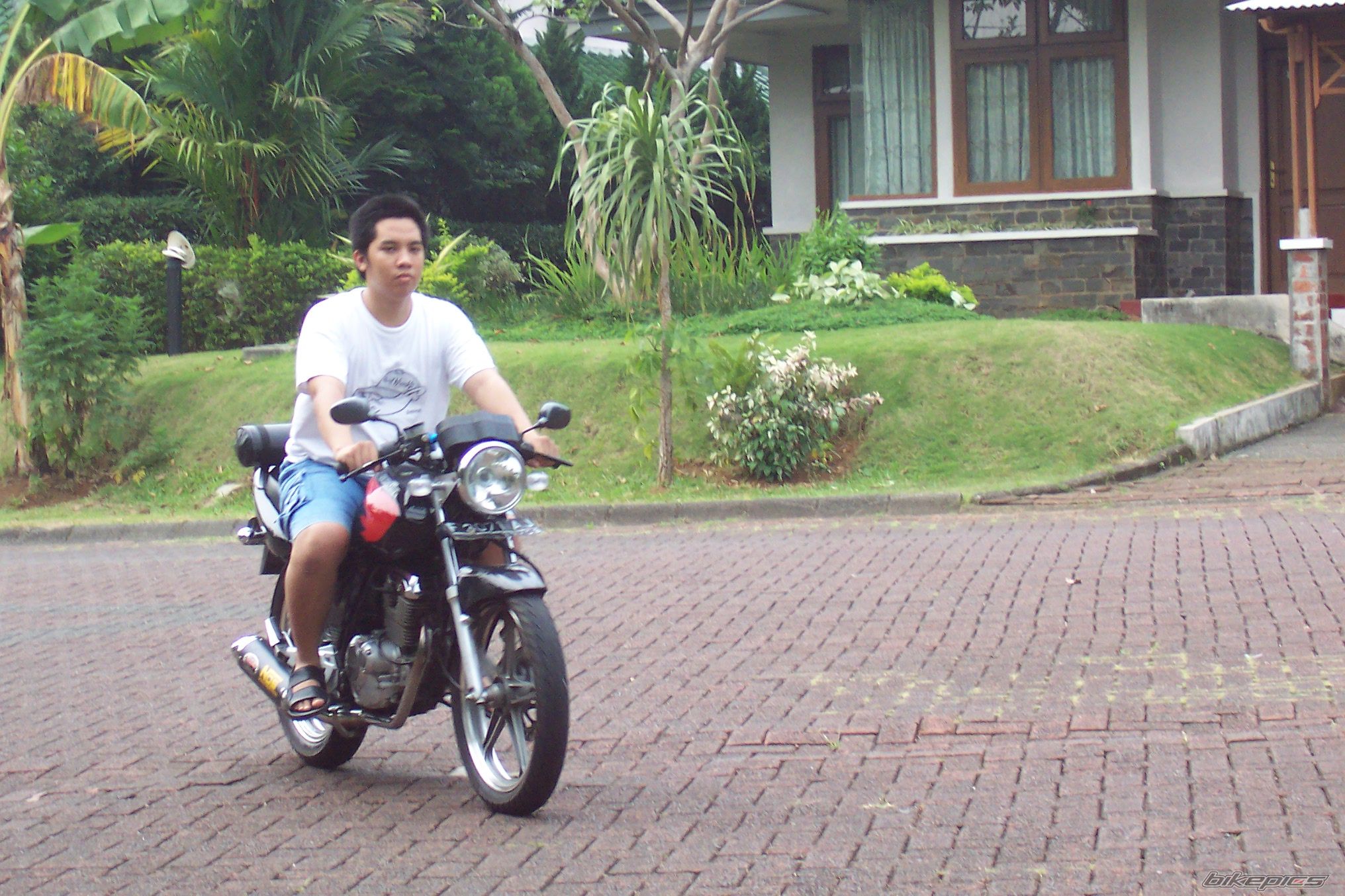 Bike Photo 1141067