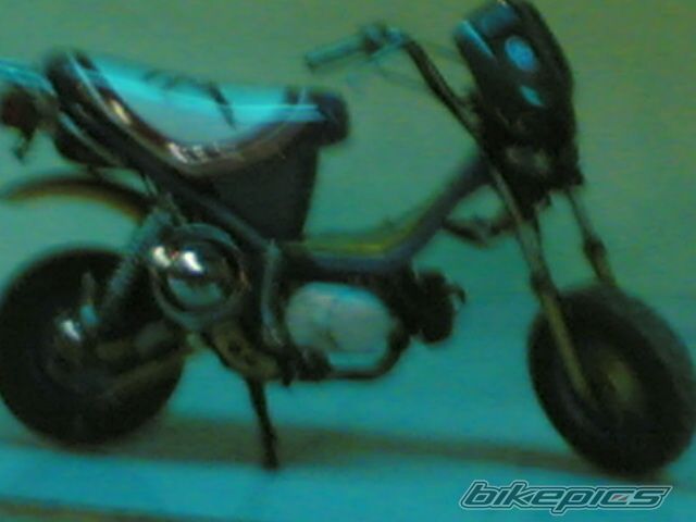 Photo 1141094