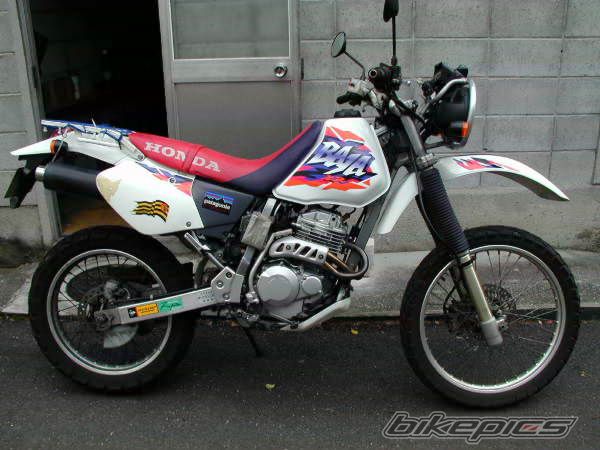Photo 1141171